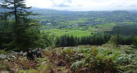 Famine Wall Walk - Mountain Ways Ireland