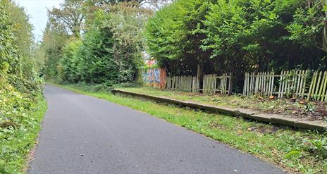 Comber Greenway Walking Tour EHOD 2024