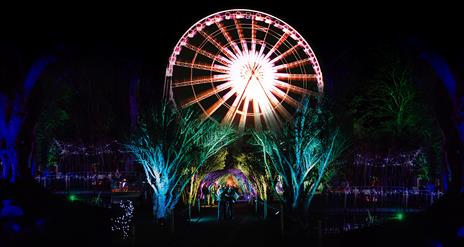 Enchanted Winter Garden