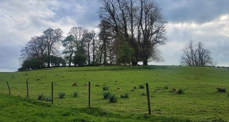Echoes of the Ancients: A Tour of Clogher Hillfort EHOD 2025