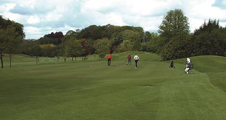 Dunmurry Golf Club