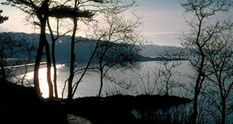 Crawfordsburn Country Park, Coastal Walk