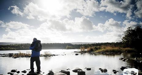 Castle Caldwell Forest; Rossergole Point Walk