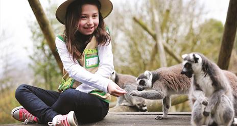 Belfast Zoo