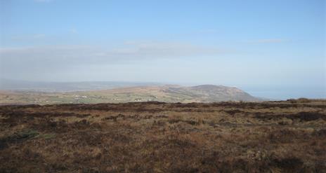 Divis Heath Trail