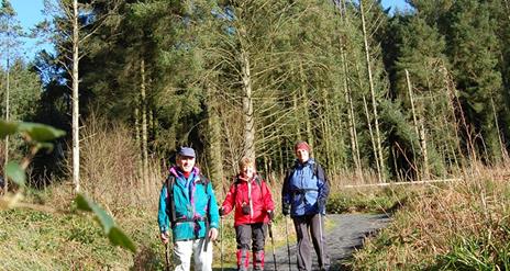 Gortin Forest Ladies View