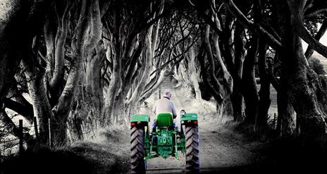 Causeway Coast Tours