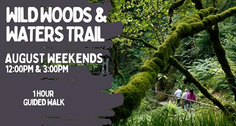 Events at Marble Arch Caves
