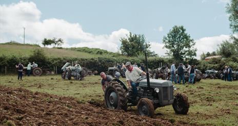 Tractors in a field
