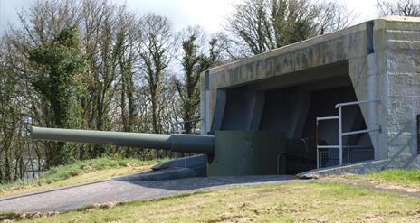 Grey Point Fort canon