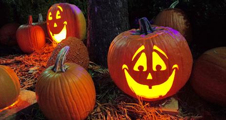 Little Spooks