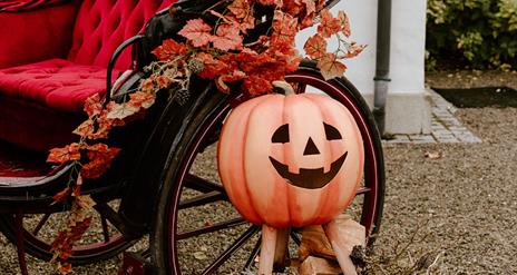 Halloween at Montalto Estate