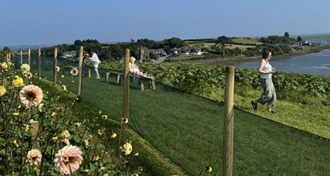 Millbank Farm Flower Fest