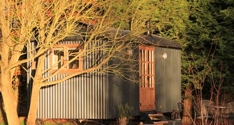 Curlew Hut in Autumn