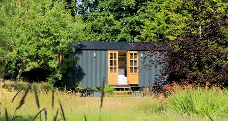 Curlew Hut nestled in trees and meadow