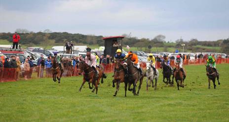 A horse race in action