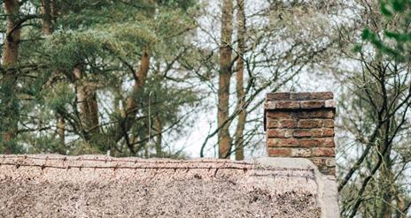 Image of a thatched roof cottage in the rural Ulster area of Ulster American Folk Park