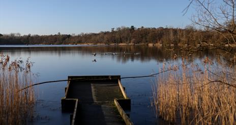 Loughgall Country Park