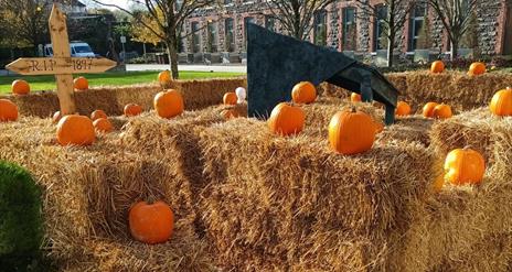 Mossley Mill Pumpkin Patch