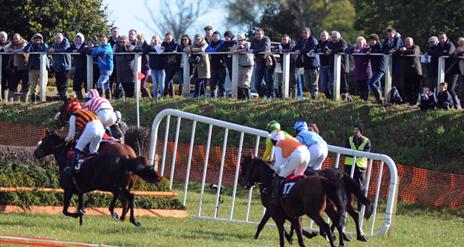 Moira Point-to-Point Races