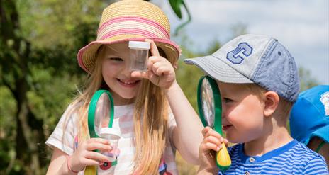 Two children looking through magnifying glasses.