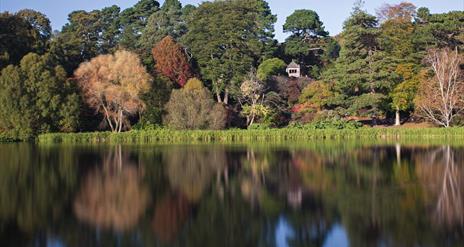 Mount Stewart Lake Walk