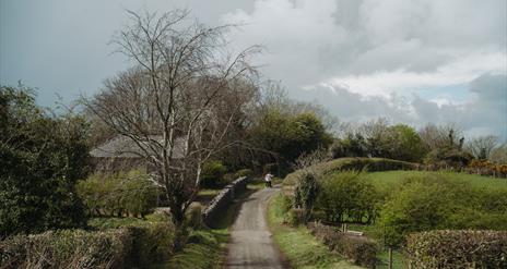 Learn to identify native tree species at the Ulster Folk Museum