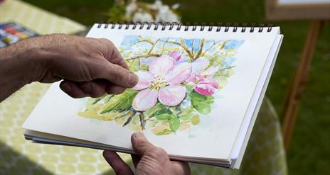 Watercolour Painting of Blossoms