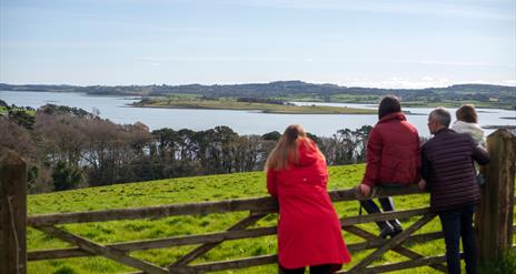 Family standing over a gate looking at the fabulous view of the Islands on Strangford Lough, from Grey Point Lookout at Delamont Country Park.