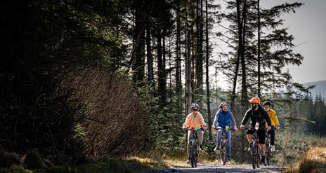 Group on electric bikes on a trail enjoying the Electric Escape experience with Corralea Adventure Centre