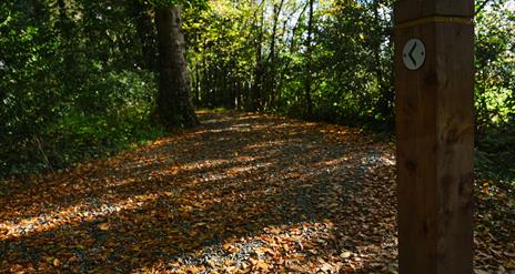 Derrynoyd River Trail