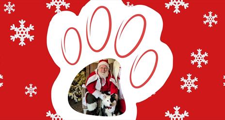 Santa with a dog