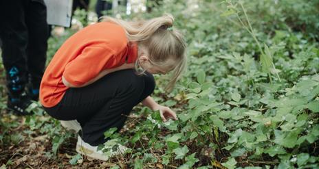 Sensory Nature Walk at the Ulster Folk Museum