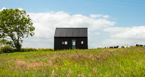The Little Black Burrow