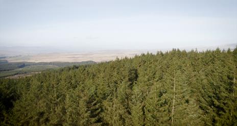 Area view of forest and landscape within Sperrin Mountains