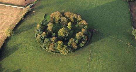 Arial View Of Fort