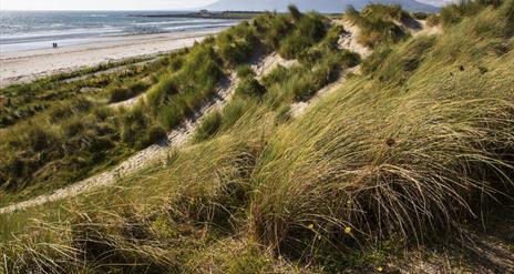 Tyrella Beach