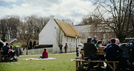 Visitors enjoying picnics in the grounds of the Folk Museum