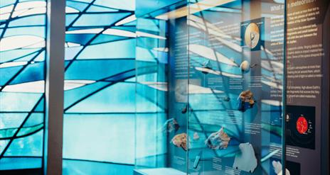 Natural Science Galleries at Ulster Museum