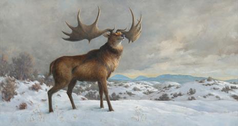 A Wild Ireland painting by Julian Friers