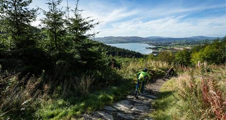 Rostrevor Mountain Bike Trail