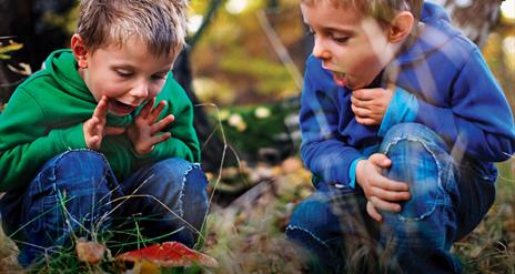 Two boys looking at fungi in the woods.