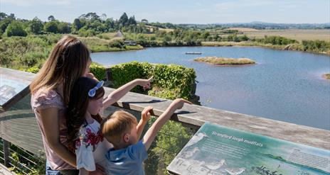 Shorelife Celebration - Mount Stewart and Castle Espie