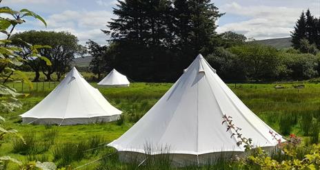 Bell tents at Willow and Lore Wild Glamping