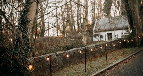 Winter Foraging at Ulster Folk Museum