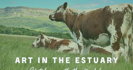 Art in the Estuary | Sketching with the Moileds
