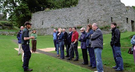 Guided Tour of Dundrum Castle