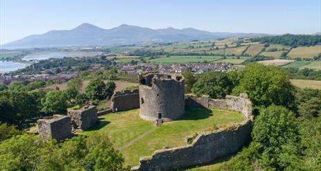 Family Fun Day - Dundrum Castle