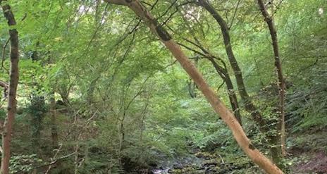 glens of antrim