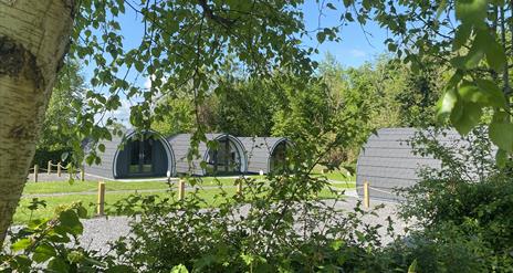 Glamping at Share Discovery Village